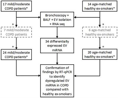 Pulmonary EV miRNA profiles identify disease and distinct inflammatory endotypes in COPD